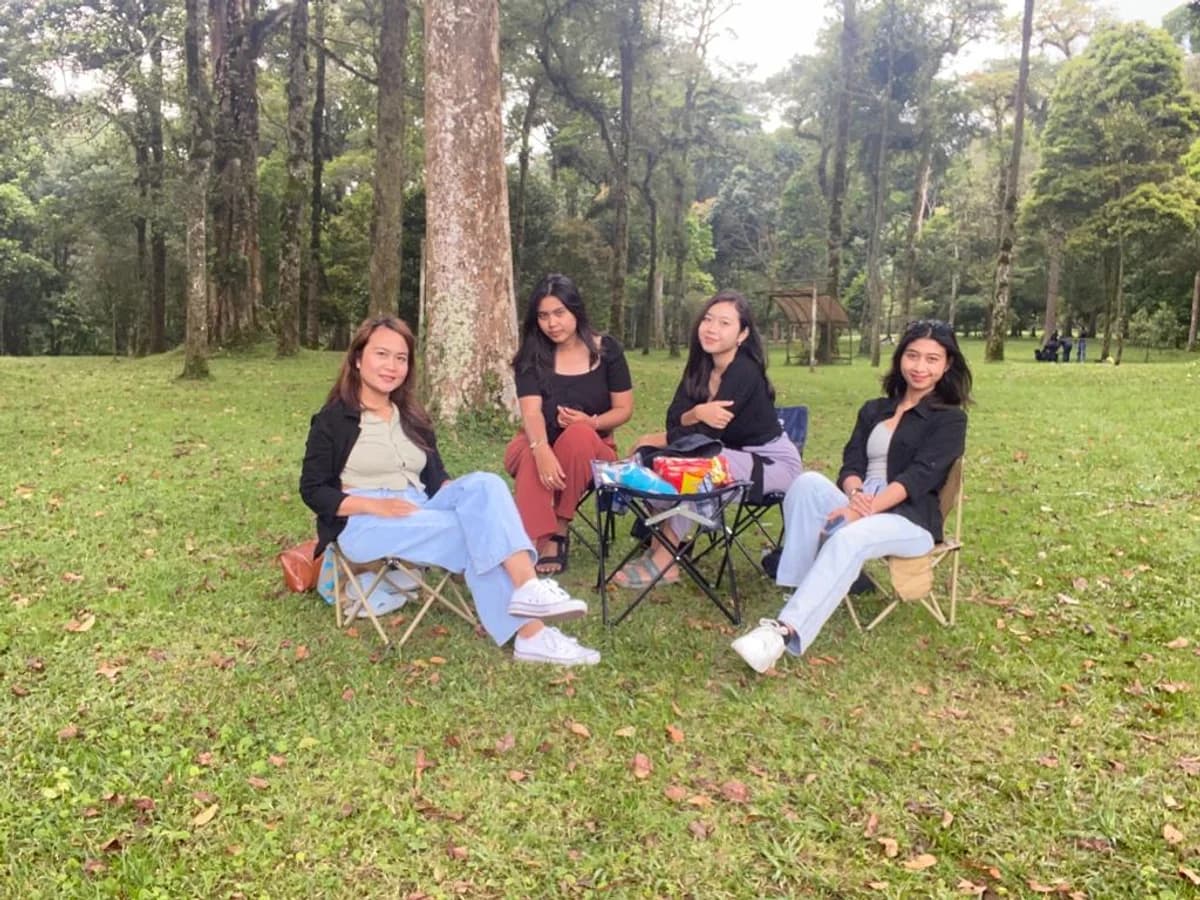 Rental Piknik - Perlengkapan Piknik Denpasar